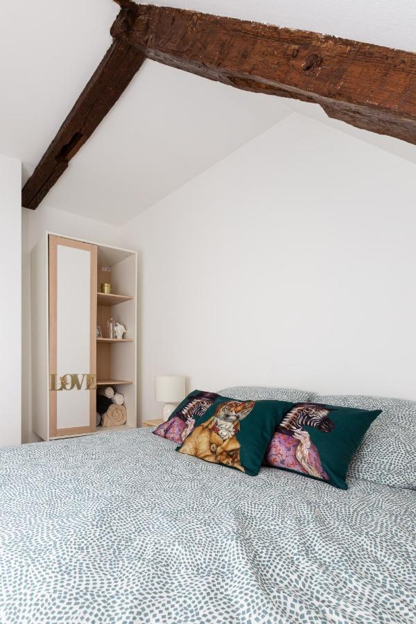 Petite France-Cathedrale, Duplex 100M2- 3 Chambres ستراسبورغ المظهر الخارجي الصورة