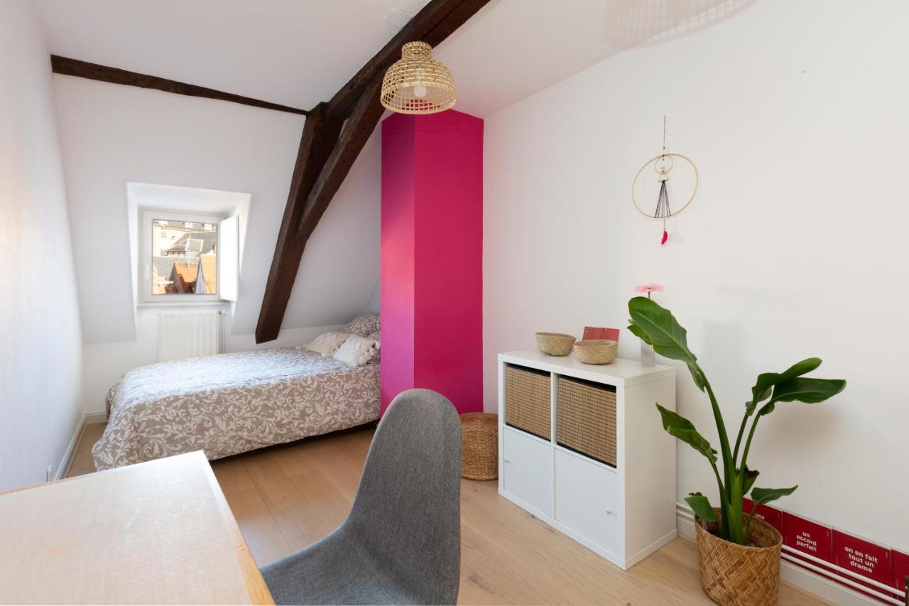 Petite France-Cathedrale, Duplex 100M2- 3 Chambres ستراسبورغ المظهر الخارجي الصورة
